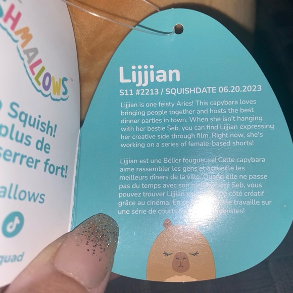 SQUISHMALLOWS LIJJIAN THE BROWN CAPYBARA PLUSH PILLOW TOY - Picture 6 of 6